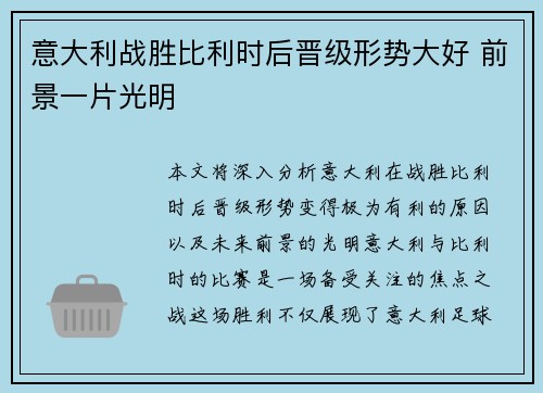 意大利战胜比利时后晋级形势大好 前景一片光明