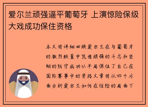 爱尔兰顽强逼平葡萄牙 上演惊险保级大戏成功保住资格