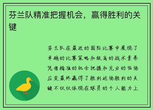 芬兰队精准把握机会，赢得胜利的关键