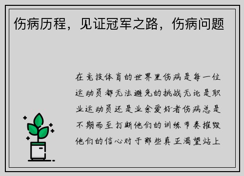 伤病历程，见证冠军之路，伤病问题