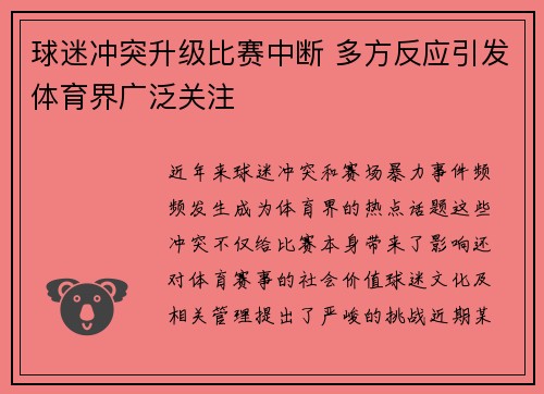 球迷冲突升级比赛中断 多方反应引发体育界广泛关注